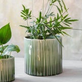 Pots de Fleurs