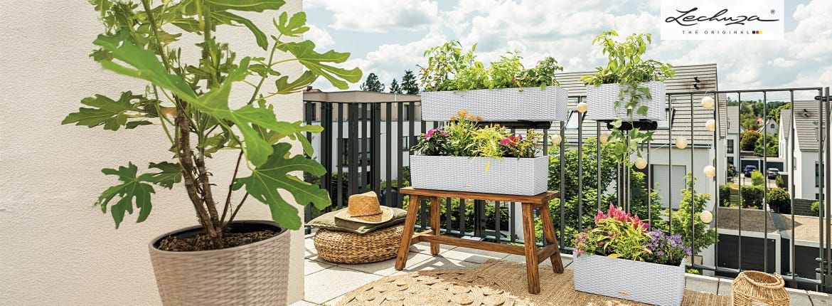 Einfach schlauer Pflanzen