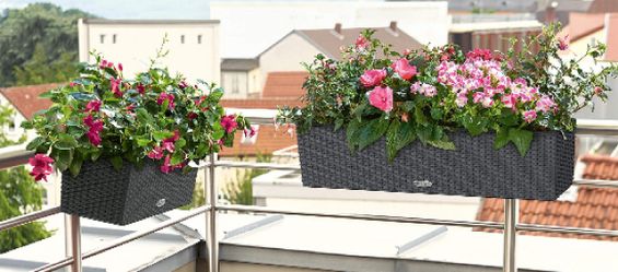 Lechuza® Balconera: Das Geheimnis schöner Pflanzen