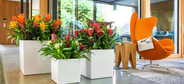 Time to get cosy! Stylish autumn decor with elegant planters.