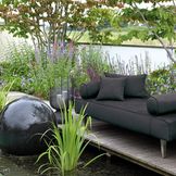 New Products for Your Garden & Patio