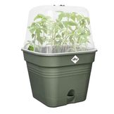 Containers for Cultivating Plants