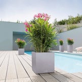 Lechuza Outdoor