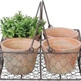 Vasi, fioriere e prodotti appena arrivati ​​per le tue piante