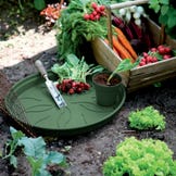 elho - Saucers for Plant Pots