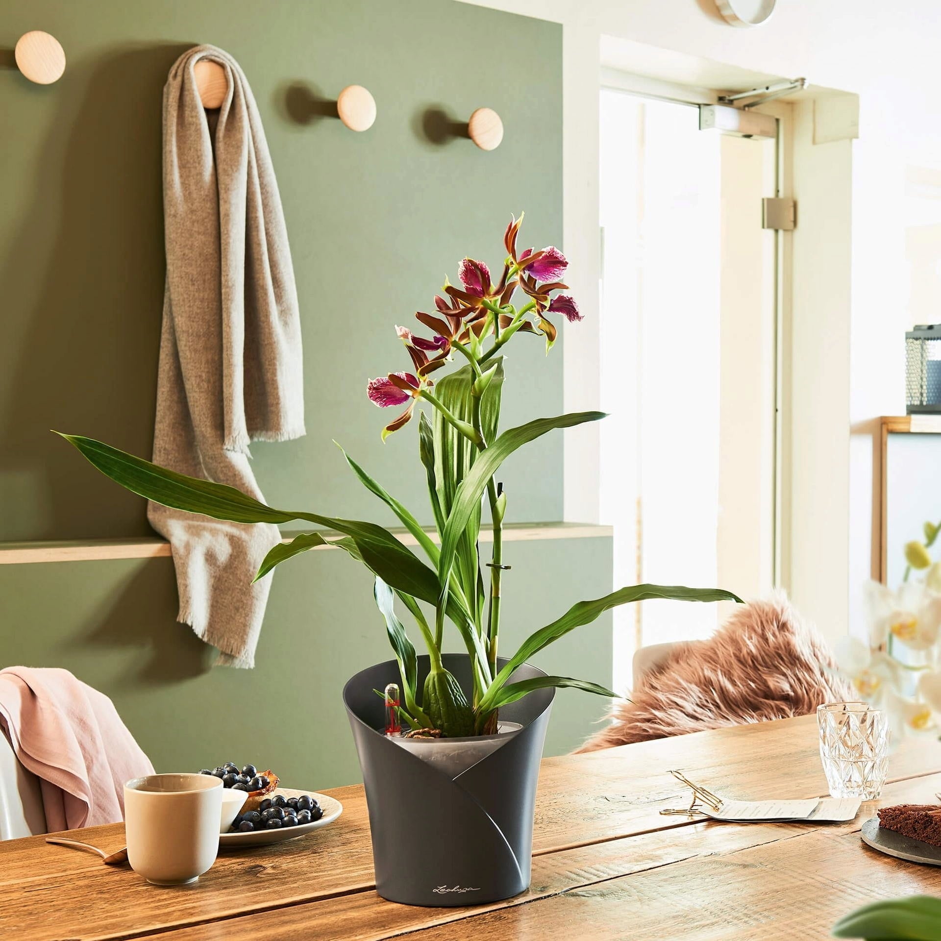 Save 30% & More on Beautiful Planters & Vases
