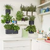 Para tener tus plantas de forma diferente y decorativa.