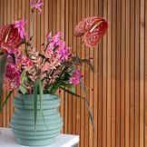 Beaux vases pour un bouquet plus que romantique.