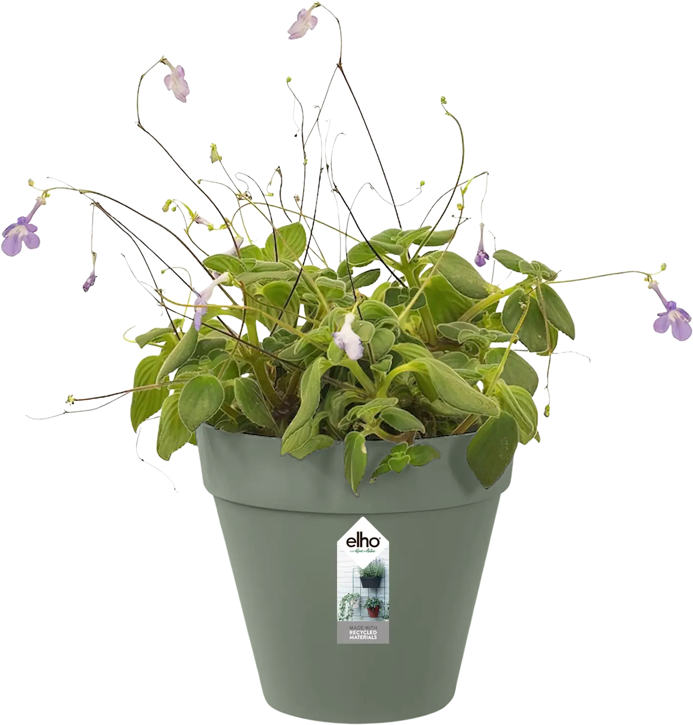 elho loft urban green wall 