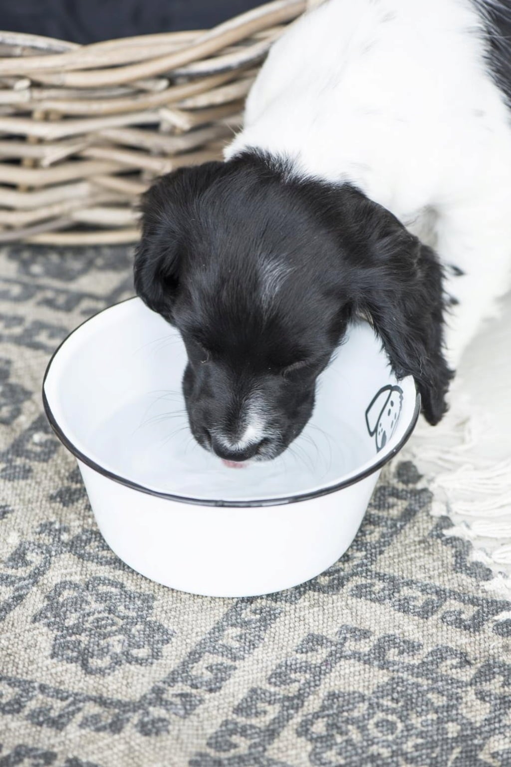 IB Laursen Dog Bowl - H: 8 cm Ø: 17 cm