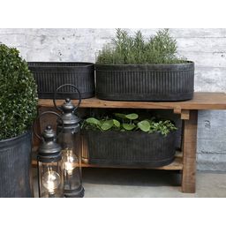 Chic Antique Oval Planters with Grooves