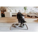 Alfombrilla para Cuenco Selection 48x30 cm - gris