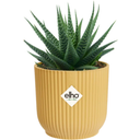 elho vibes fold round mini, 7 cm - giallo burro