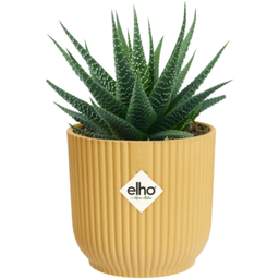 elho vibes fold round mini, 7 cm - giallo burro