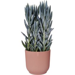 elho Cache-Pot VIBES FOLD Rond - 25 cm - Rose poudré