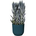 elho vibes fold rund 16 cm - tiefes blau