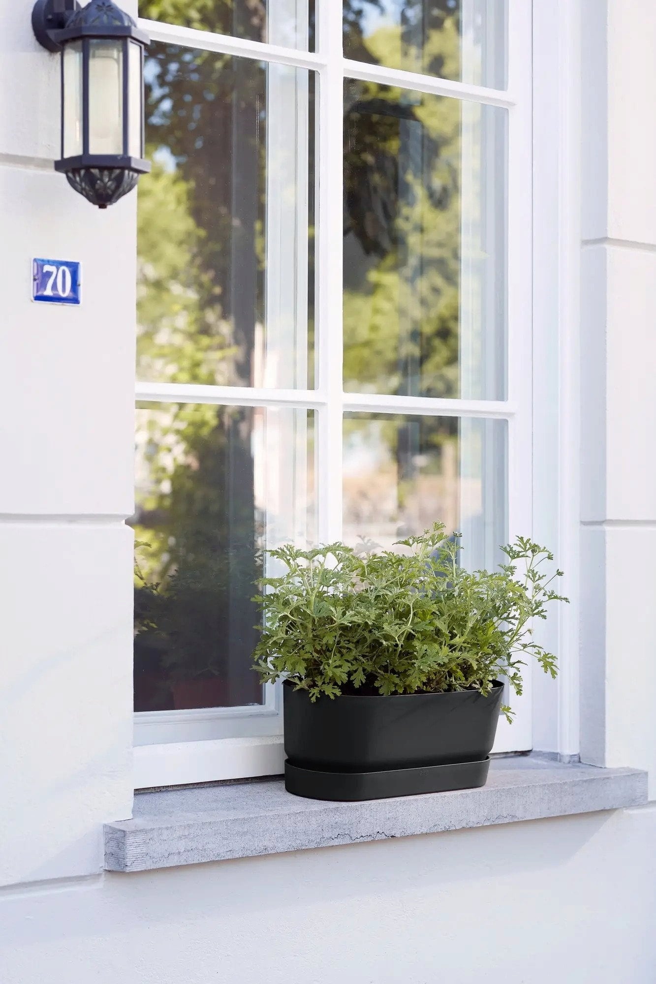 elho greenville Planter Long 70cm - Living Black