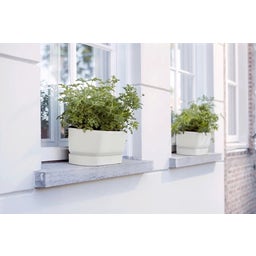 elho Balconnière GREENVILLE Long - 50 cm - blanc