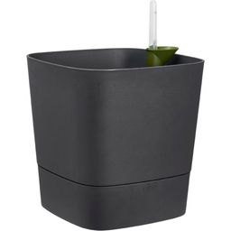 elho Pot GREENSENSE Aqua Care Carré - 38 cm - Gris charbon