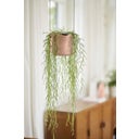 elho Suspension B.FOR Swing - 18 cm - Rose poudré