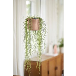 elho Suspension B.FOR Swing - 18 cm - Rose poudré