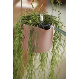 elho Suspension B.FOR Swing - 18 cm - Rose poudré