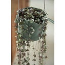 elho b.for swing Hanging Pot 18cm  - Leaf Green