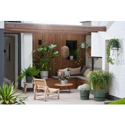 elho greenville Planter Round 30 cm - Living Concrete