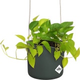 elho b.for swing Hanging Pot 18cm 