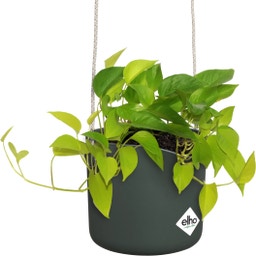 elho b.for swing Hanging Pot 18cm  - Leaf Green