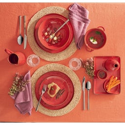 Rose & Tulipani Concerto - Skål - Corallo