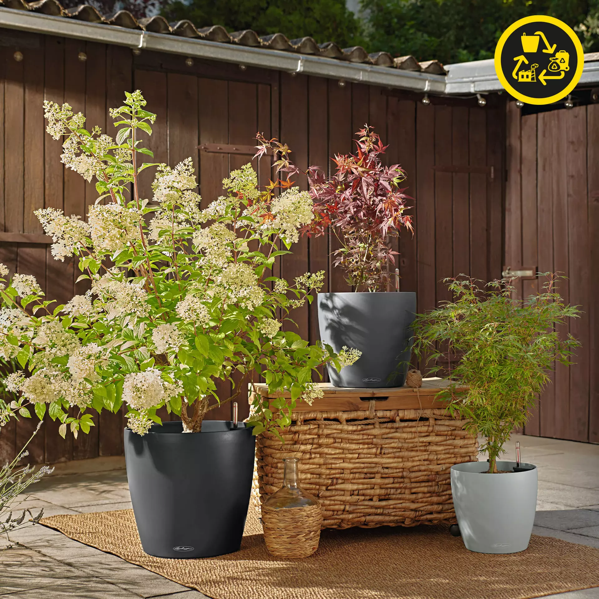 Lechuza Planter CLASSICO Colour 18