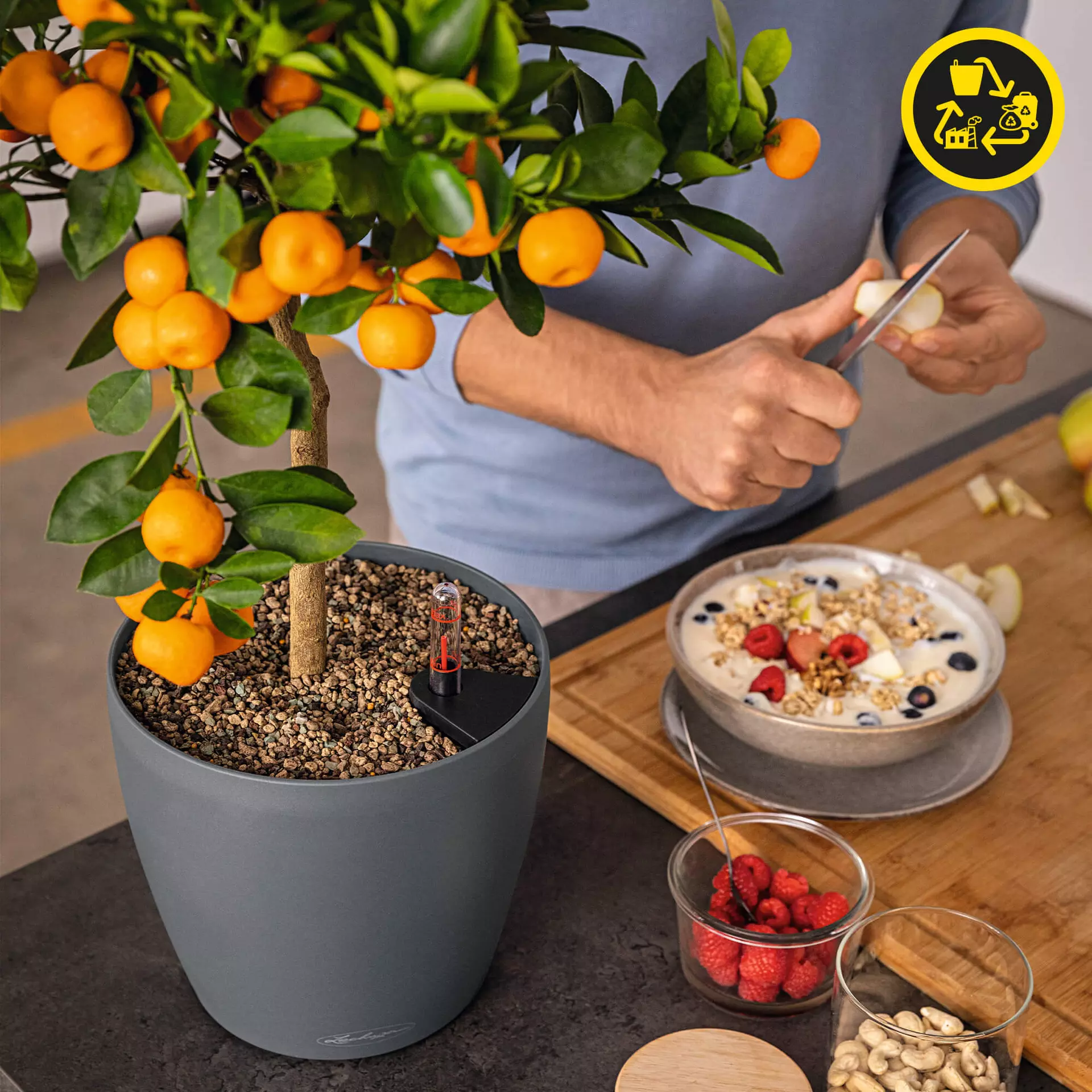 Lechuza Planter CLASSICO Colour 18