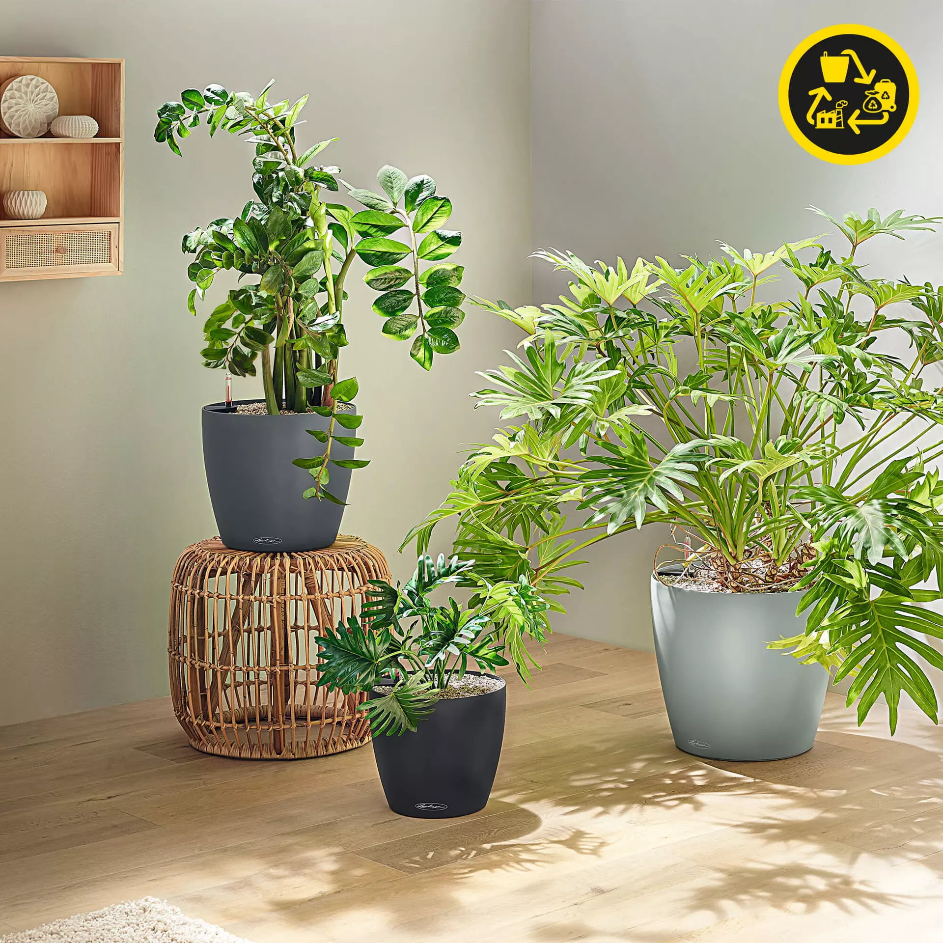 Lechuza Planter CLASSICO Colour 18