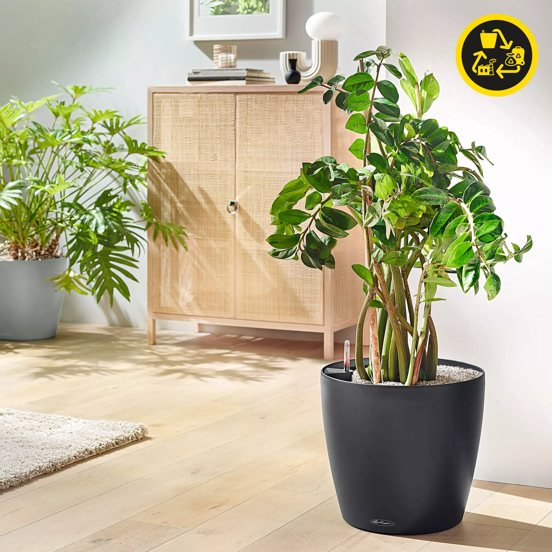 Lechuza Planter CLASSICO Colour 18 - Dark Grey
