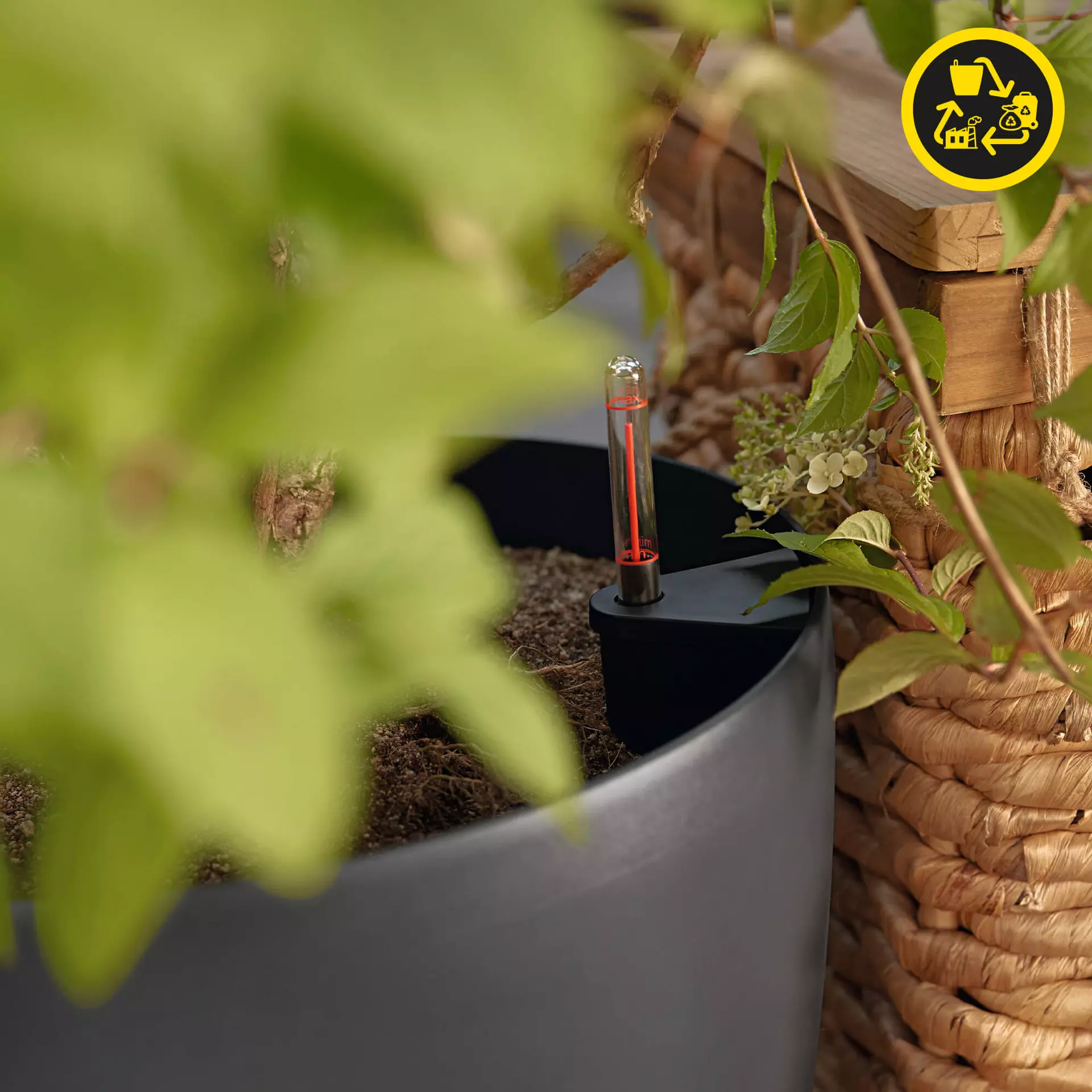 Lechuza Planter CLASSICO Colour 18