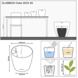 Lechuza Planter CLASSICO Color - ECO 35