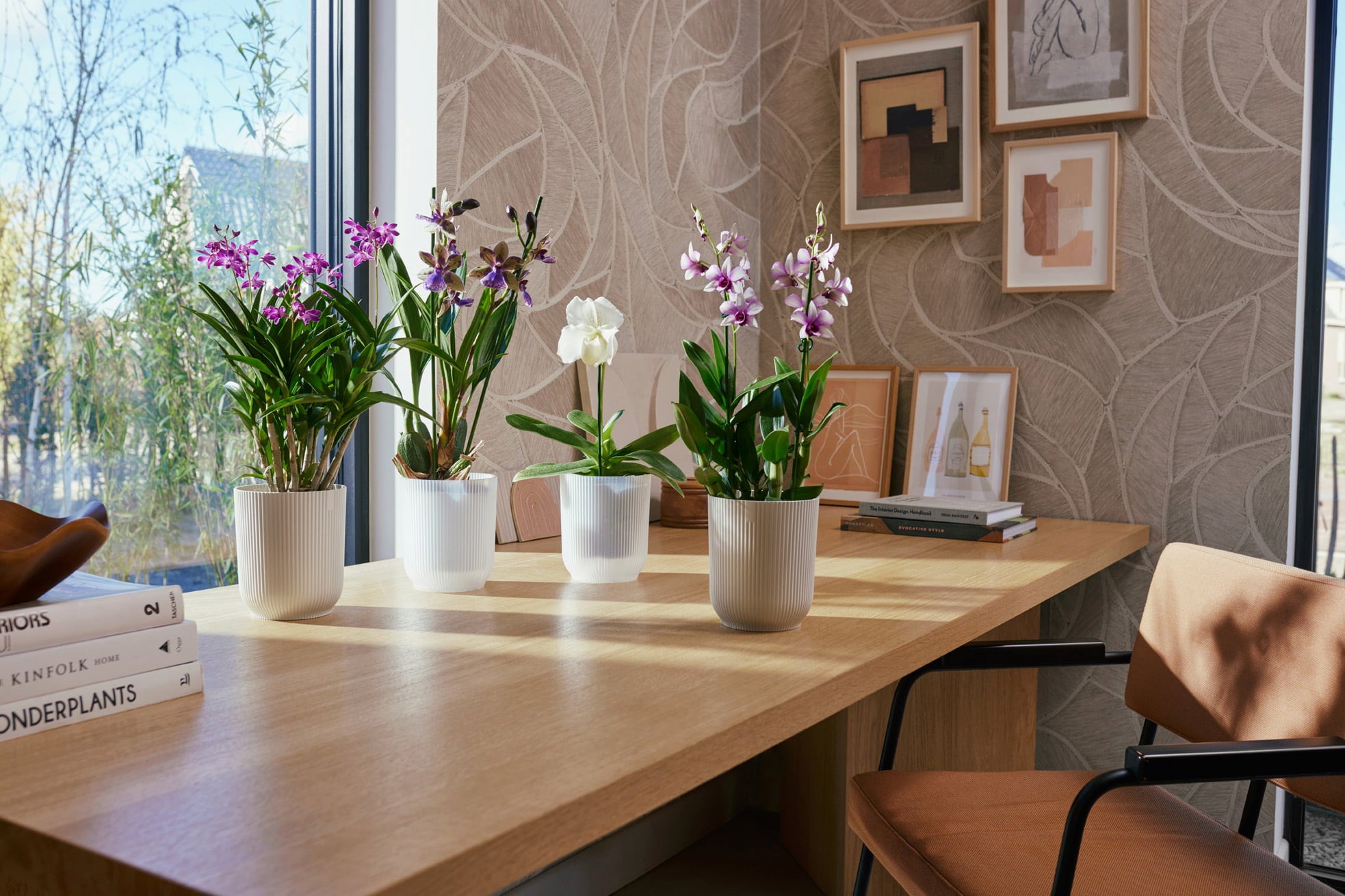 Blumentopf - vibes fold orchidee hoch 12,5cm - transparent