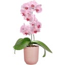 Blomkruka - vibes fold orchidee hög 12,5cm - rosa glaserad