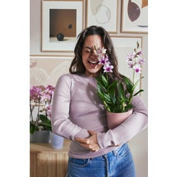 Blomkruka - vibes fold orchidee hög 12,5cm - rosa glaserad