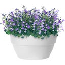 elho vibia campana bowl, 27 cm