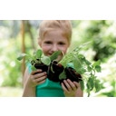 elho green basics Anzuchttopf Starter Set