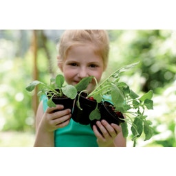 elho green basics Anzuchttopf Starter Set