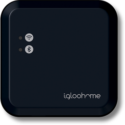 Igloo Home Bridge