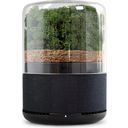 BRIIV Natural Air Purifier with Triple Filter - 1 Pc