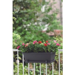 elho barcelona Balcony Box 40cm - Anthracite