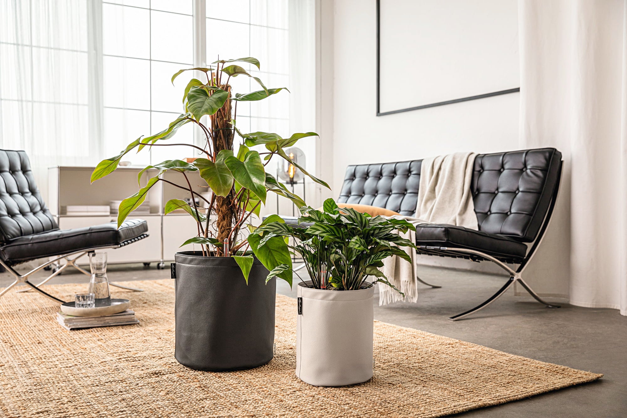 Lechuza TRENDCOVER 32 - Creme Beige