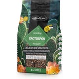 Lechuza Substrat Cactus-PON