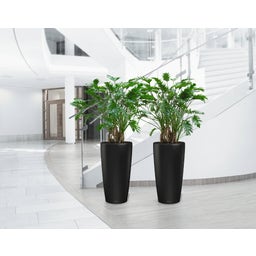 Lechuza Pflanzgefäß Rondo Premium 32 - schwarz matt