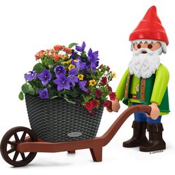 Garden Gnome Set with Wheelbarrow and Bacino Planter